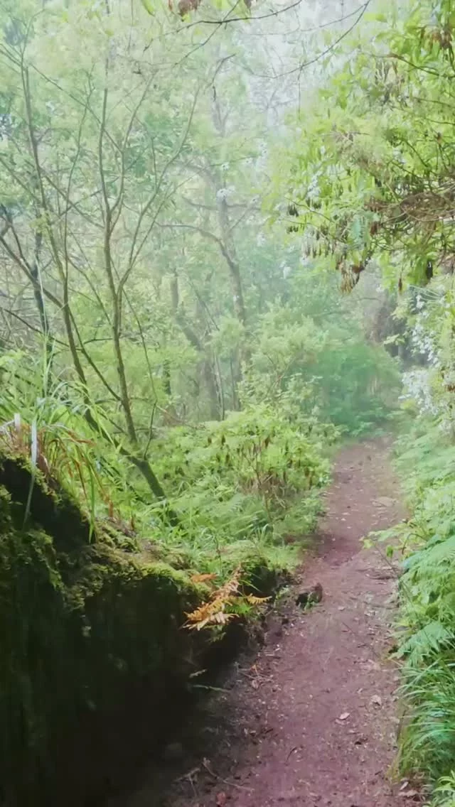 Karriere war früher eine Leiter.
Stufe für Stufe. Vorgabe klar.
Heute ist sie eher ein Dschungel.
Viele Wege. Viele Abzweigungen.
Und niemand sagt dir mehr, welcher Weg deiner ist.
Genau hier scheitern so viele... nicht die Unfähigen –
sondern die, die ohne Orientierung loslaufen.
Du brauchst keine perfekte Route.
Was du brauchst ist eine Landkarte,
die dir zeigt, wo du stehst,
was dich ausmacht
und welche Wege für dich Sinn ergeben.
Ich begleite Menschen genau dabei:
nicht irgendeinen Karrierepfad einzuschlagen,
sondern ihren eigenen.
Wenn du also merkst, dass da noch mehr in dir steckt, dann geh los. 
In meinem kostenlosen Workshop zeige ich dir deinen nächsten Schritt.
Kommentiere TRAUMJOB und ich schicke dir den Link zu deinem nächsten Schritt.
#schemadu
#jobwechsel
#stärkenstärken
#jobliebe
#persönlicheweiterentwicklung
#endlicheinjobderzumirpasst